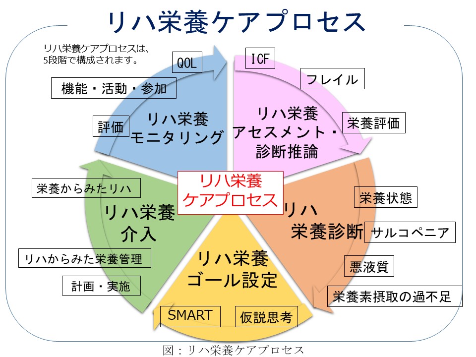 コラム｜リハ栄養のポイント～低栄養対策～ - 介護食のメディケア食品 ...